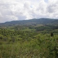 Tuscany104